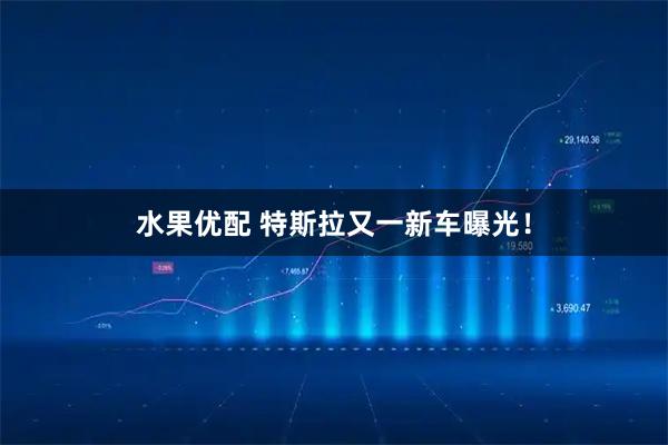 水果优配 特斯拉又一新车曝光！