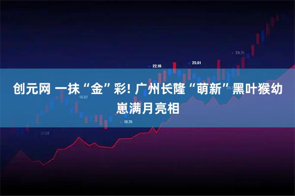 创元网 一抹“金”彩! 广州长隆“萌新”黑叶猴幼崽满月亮相