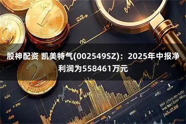 股神配资 凯美特气(002549SZ)：2025年中报净利润为558461万元