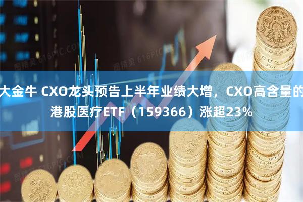 大金牛 CXO龙头预告上半年业绩大增，CXO高含量的港股医疗ETF（159366）涨超23%