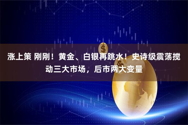 涨上策 刚刚！黄金、白银再跳水！史诗级震荡搅动三大市场，后市两大变量