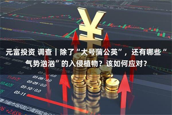 元富投资 调查｜除了“大号蒲公英”，还有哪些“气势汹汹”的入侵植物？该如何应对？