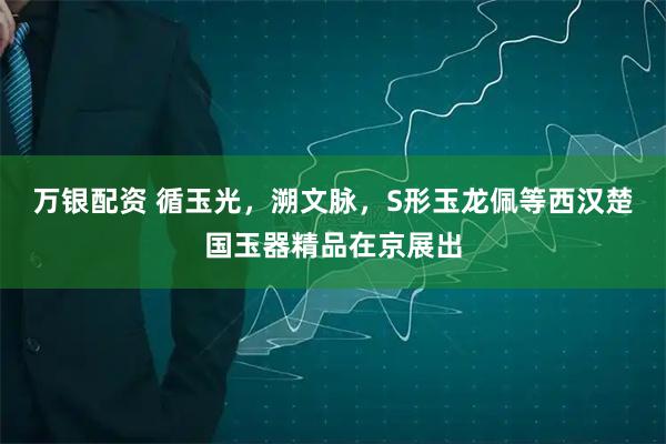 万银配资 循玉光，溯文脉，S形玉龙佩等西汉楚国玉器精品在京展出